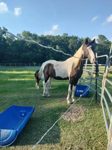 $850,000 | 1014 Fire Hill Road, Walterboro, SC 29488
