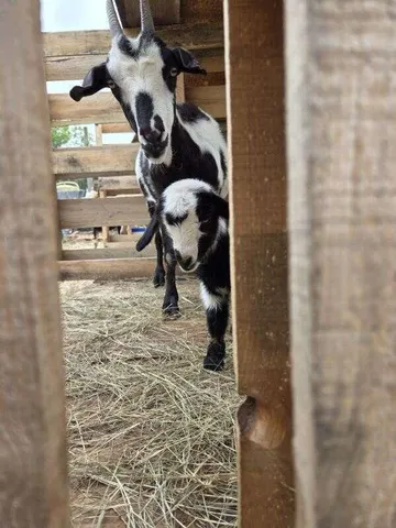 $850,000 | 1014 Fire Hill Road, Walterboro, SC 29488