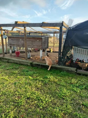 $850,000 | 1014 Fire Hill Road, Walterboro, SC 29488