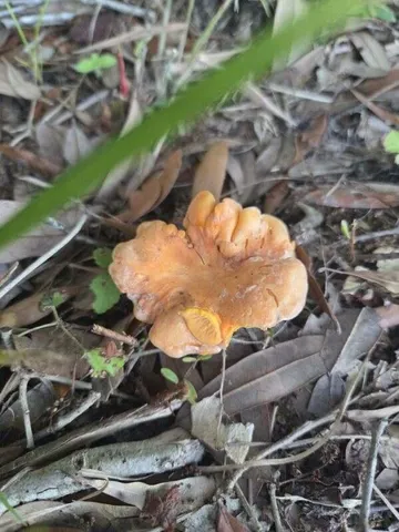 $850,000 | 1014 Fire Hill Road, Walterboro, SC 29488