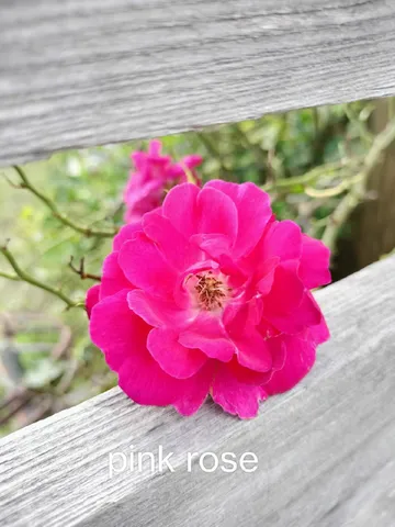 $850,000 | 1014 Fire Hill Road, Walterboro, SC 29488