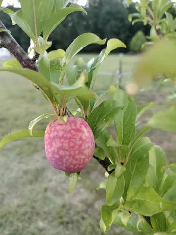 $850,000 | 1014 Fire Hill Road, Walterboro, SC 29488