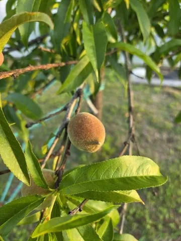 $850,000 | 1014 Fire Hill Road, Walterboro, SC 29488