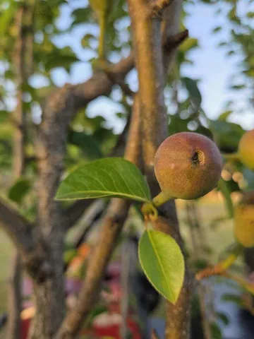 $850,000 | 1014 Fire Hill Road, Walterboro, SC 29488