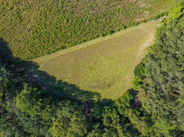 $850,000 | 1014 Fire Hill Road, Walterboro, SC 29488