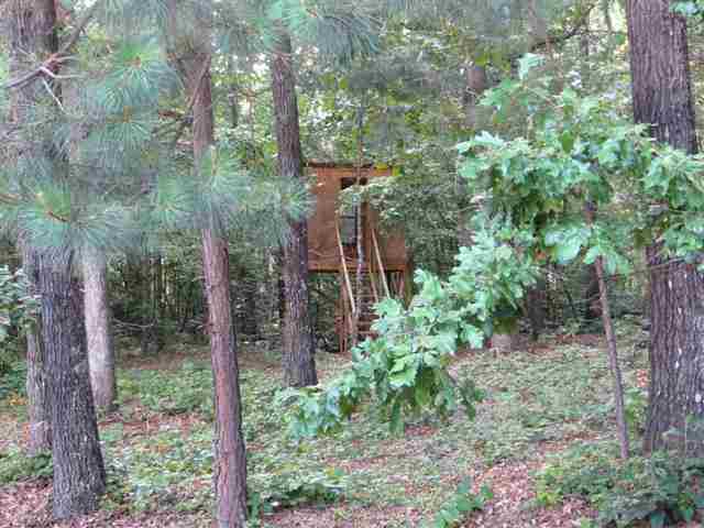 305 Timms Mill Road Williamston, SC 29697 - Photo 22 of 24