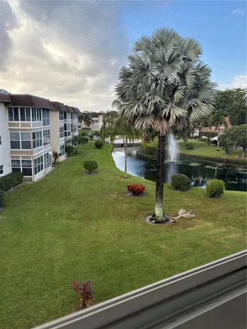 a view of a yard with plants and palm trees