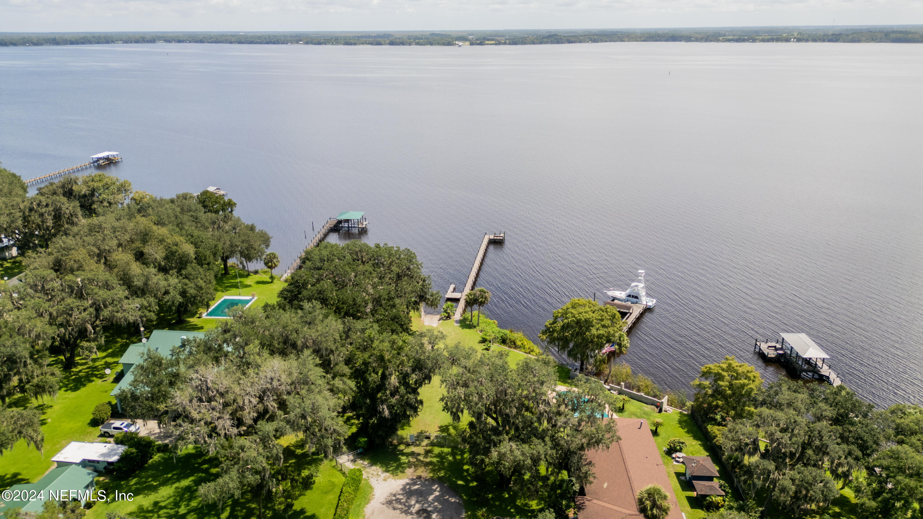 112 Eberhard Avenue Palatka, FL 32177 - Photo 21 of 48 a close up of a plant