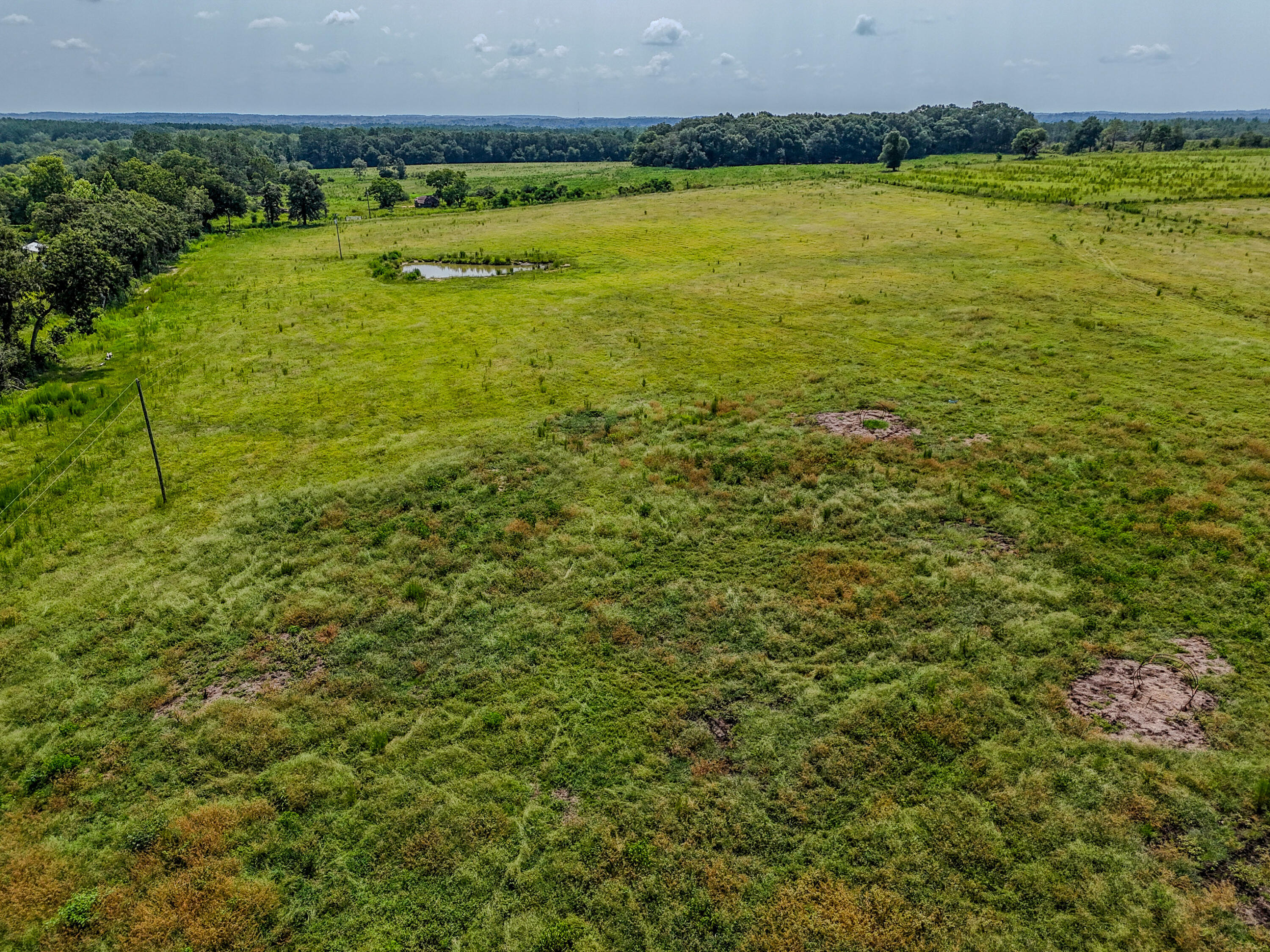 3958 Gopher Ridge Road Samson, AL 36477 - Photo 11 of 25 DJI_20260730003538_0018_D - Copy