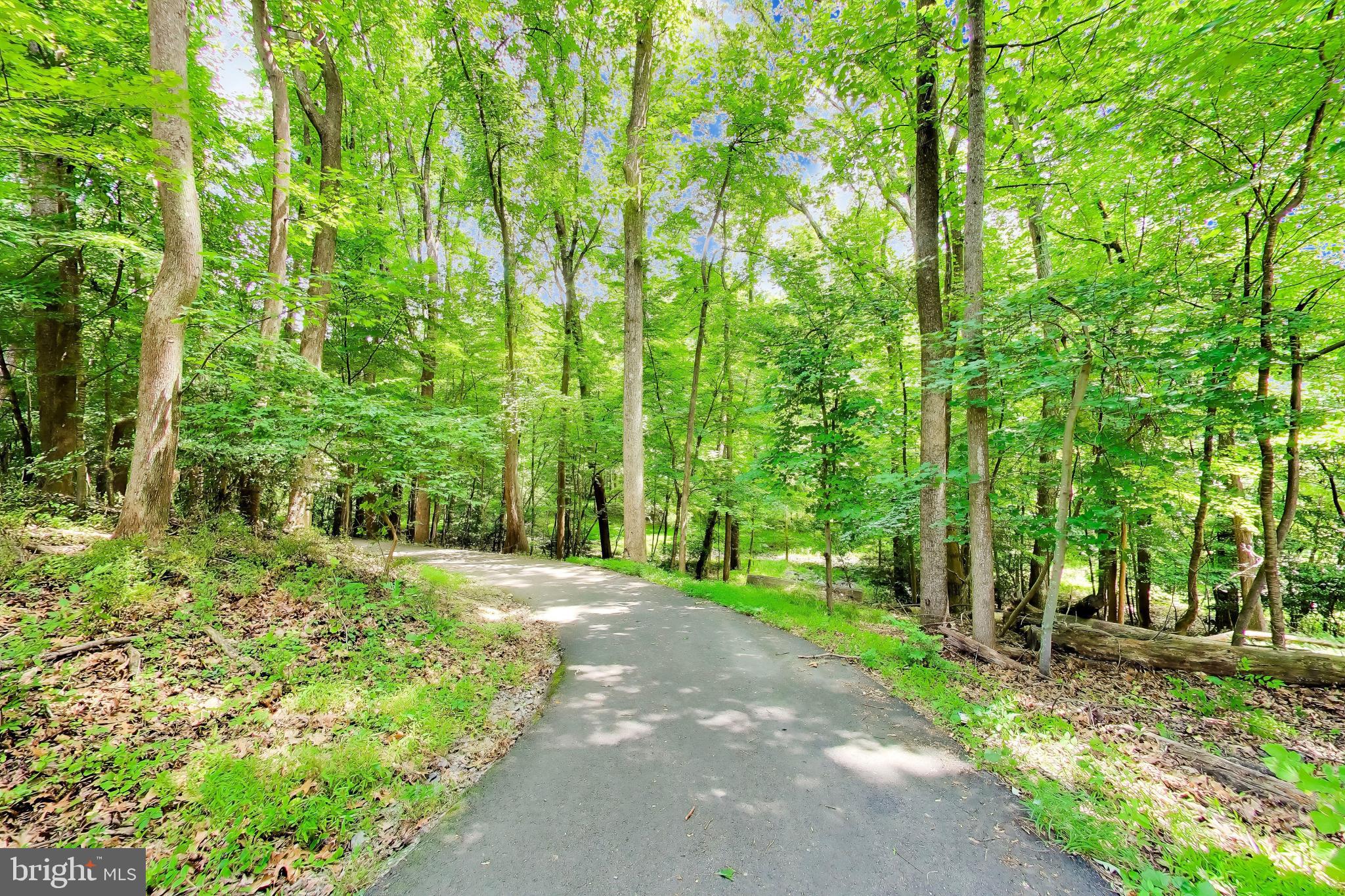 11830 Breton Court, Unit 23B Reston, VA 20191 - Photo 38 of 43 Serene path through lush greenery.