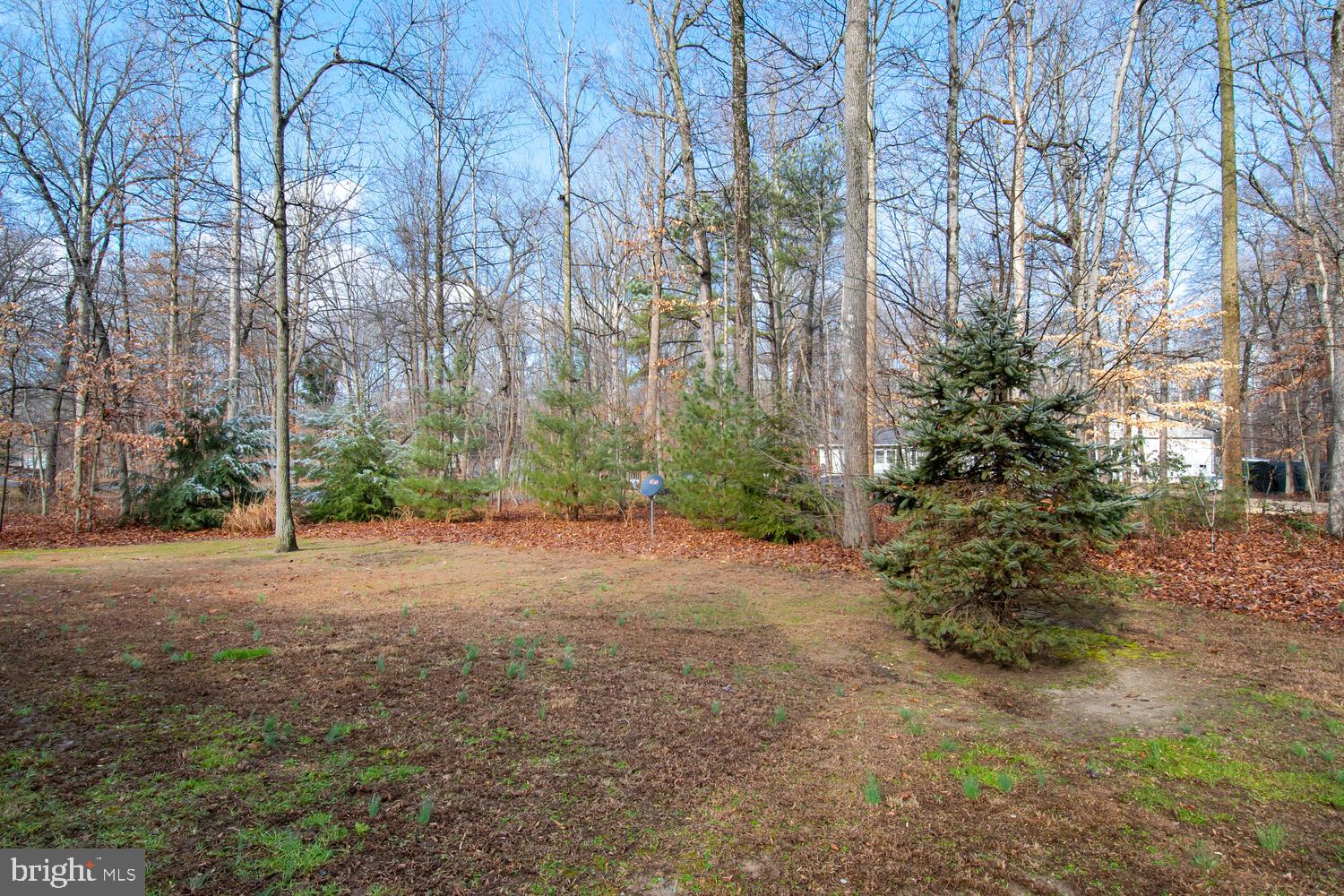 14581 Fox Chase Circle Ridgely, MD 21660 - Photo 31 of 32 Gallery Image 31