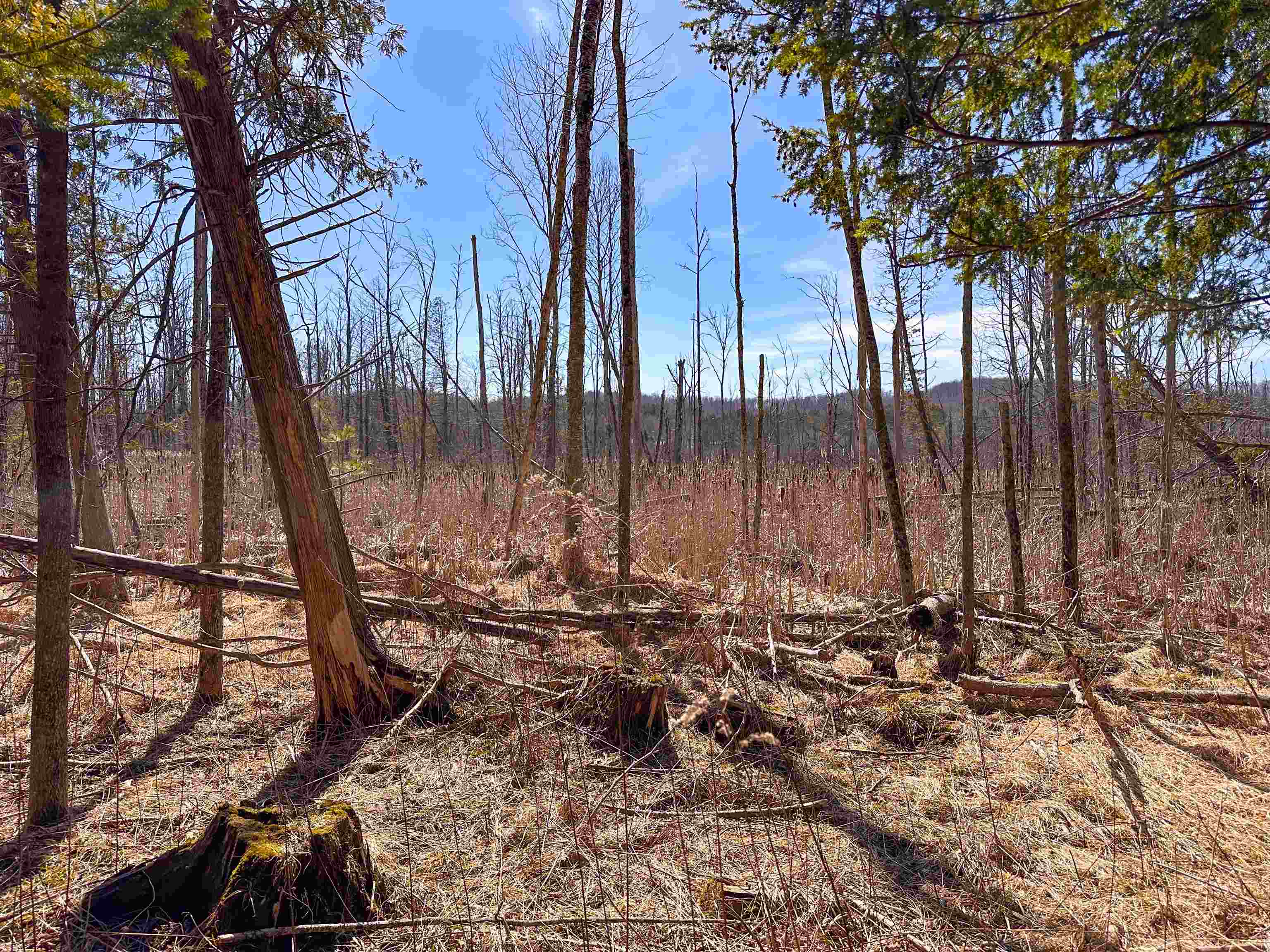 0 Nelson Road East Jordan, MI 49727 - Photo 22 of 33 Gallery Image 22