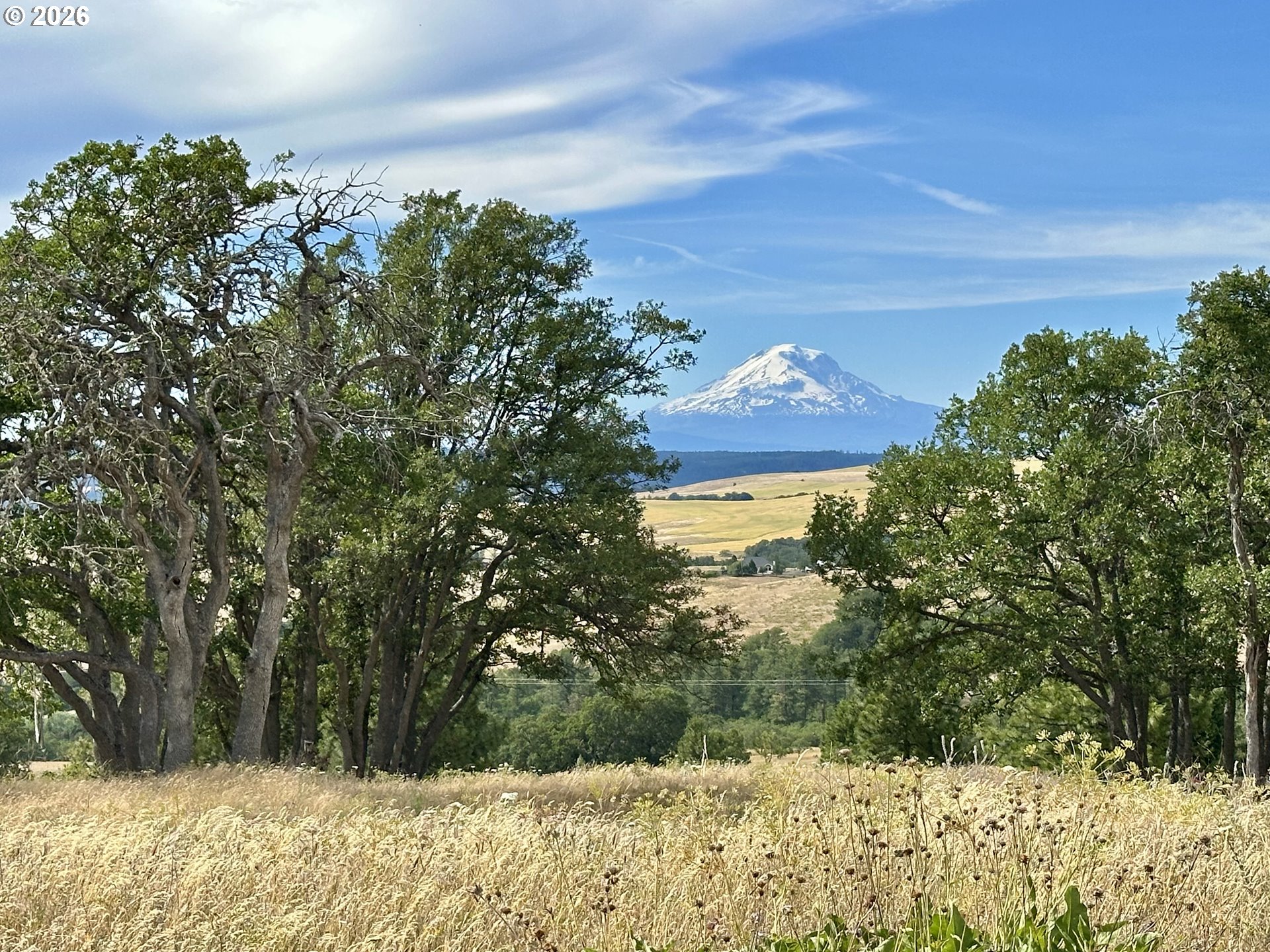 118 South Prairie Road Lyle, WA 98635 - Photo 3 of 46
