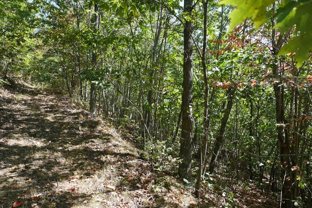 Tbd Hall Hollow Road, Unit 1 Austinville, VA 24312 - Photo 16 of 76 Gallery Image 16