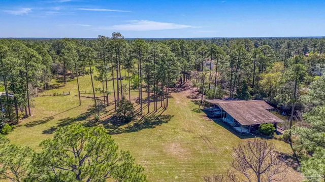 a view of a lake with a building in the background
