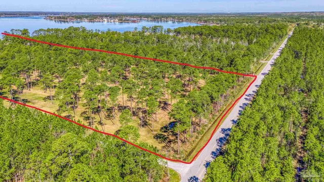 a view of a park with a tree