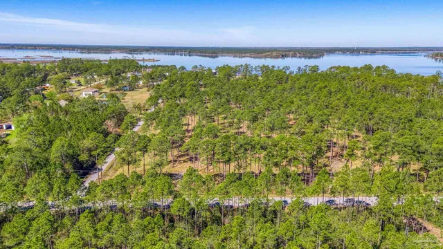 a view of a yard with a tree