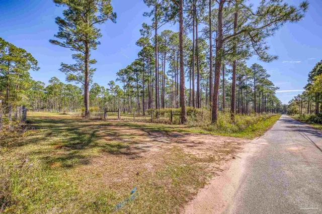 a view of a yard with swimming pool