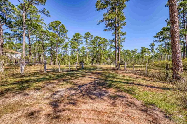a view of yard with trees