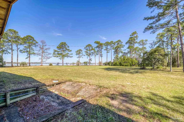 a view of a swimming pool with a yard and palm trees