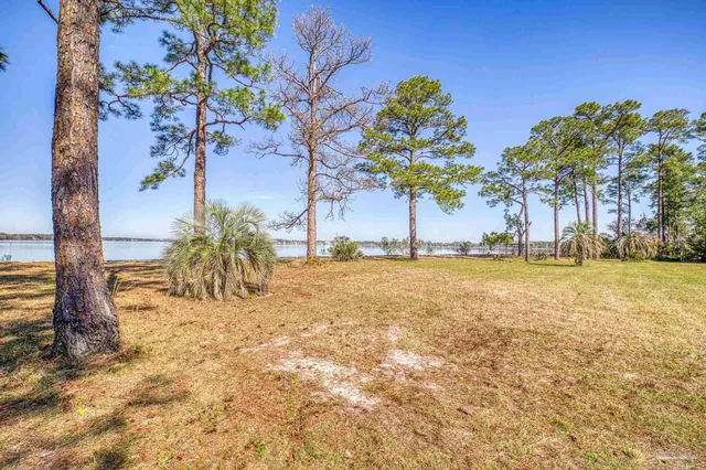 a view of a swimming pool with an outdoor space