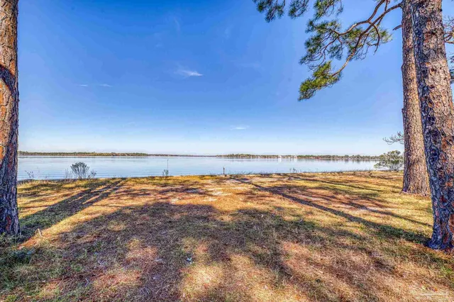 a view of a yard with large trees