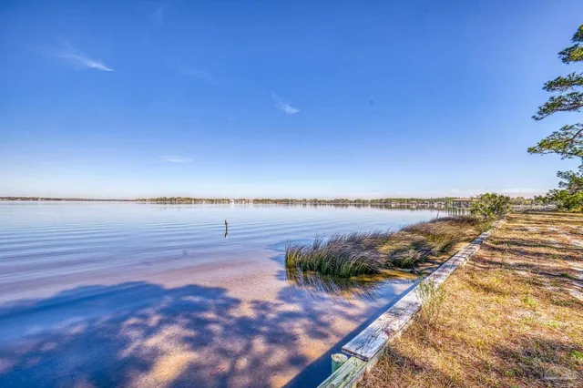 a view of yard with tree
