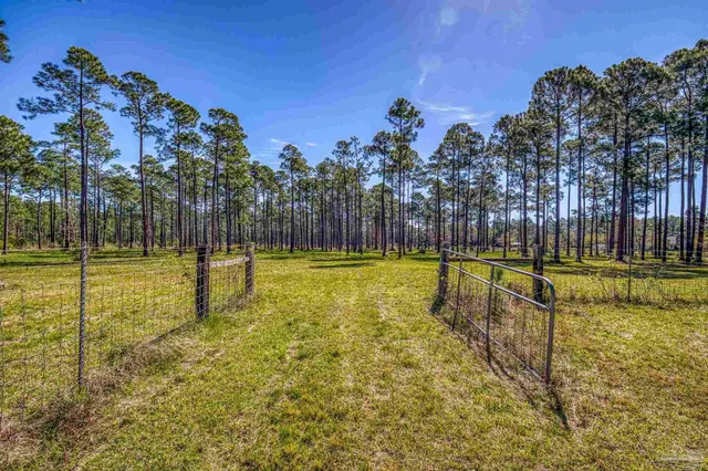 $2,995,000 | 8120 Blackwater Drive, Milton, FL 32583