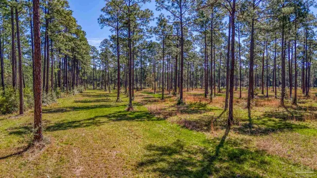 $2,995,000 | 8120 Blackwater Drive, Milton, FL 32583