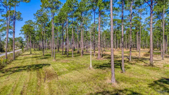 $2,995,000 | 8120 Blackwater Drive, Milton, FL 32583