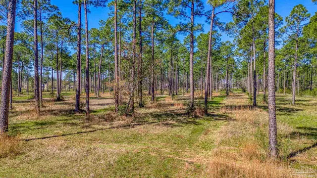 $2,995,000 | 8120 Blackwater Drive, Milton, FL 32583