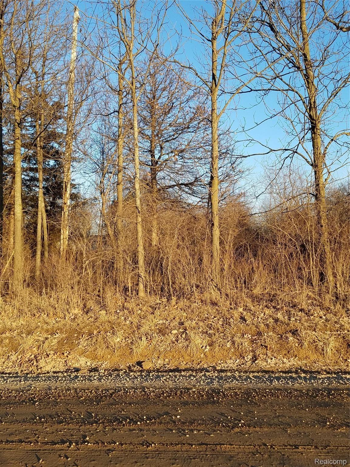 0 East Dutcher Road Howell, MI 48843 - Photo 1 of 1 20190113_164358.jpg