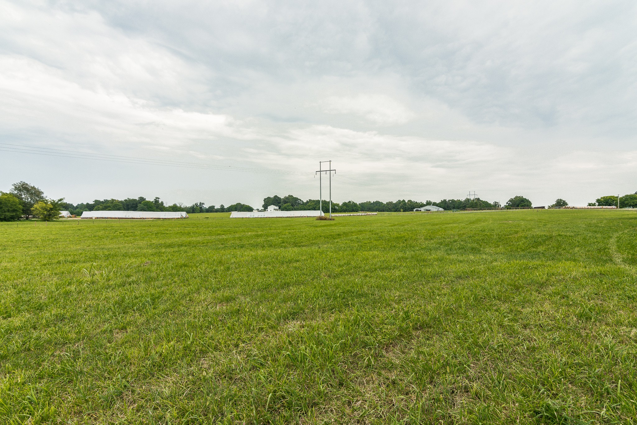 2545 Gunn Road Springfield, TN 37172 - Photo 14 of 49 a view of a ocean with big yard and large trees