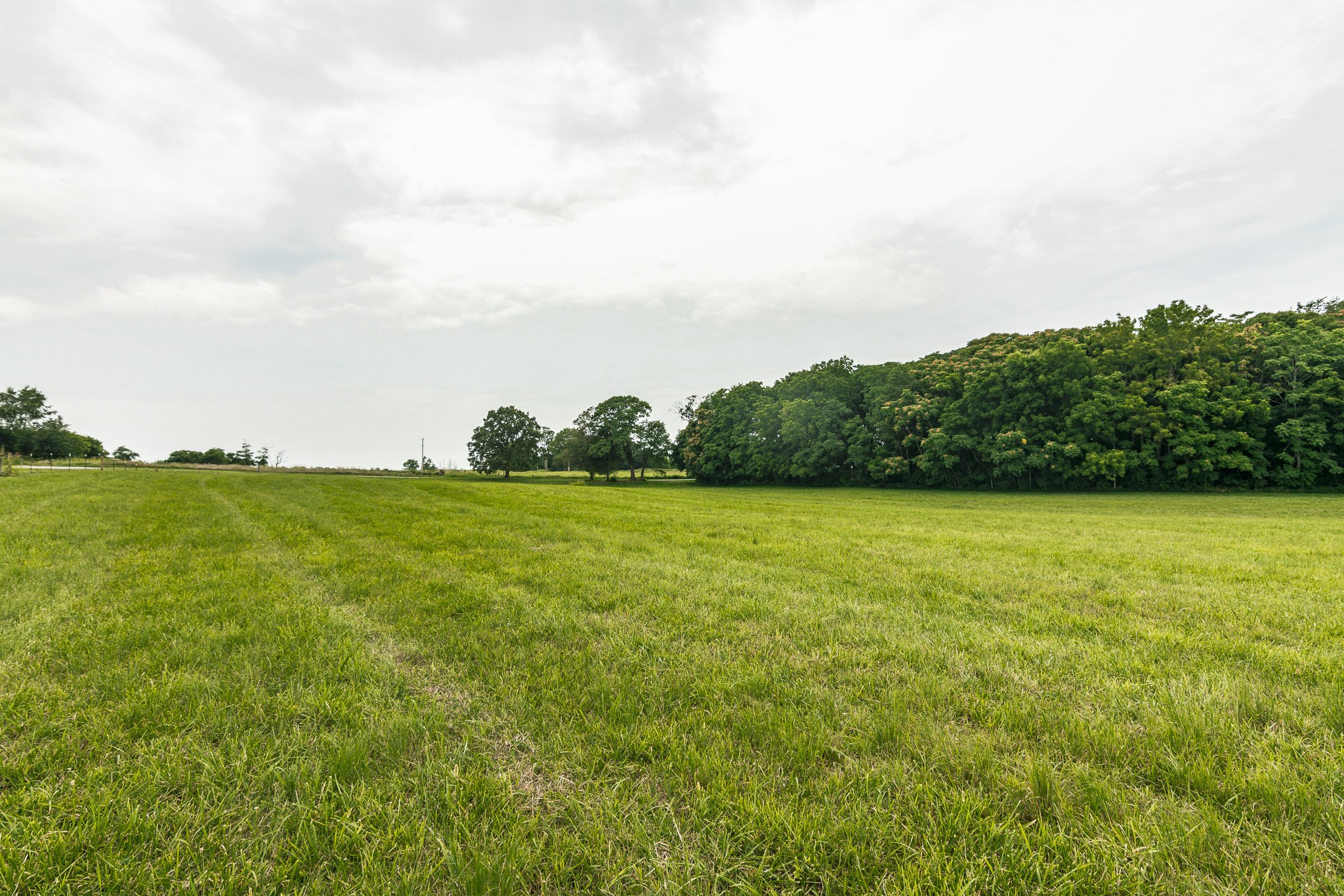 2545 Gunn Road Springfield, TN 37172 - Photo 22 of 49 a view of a green field with wooden fence