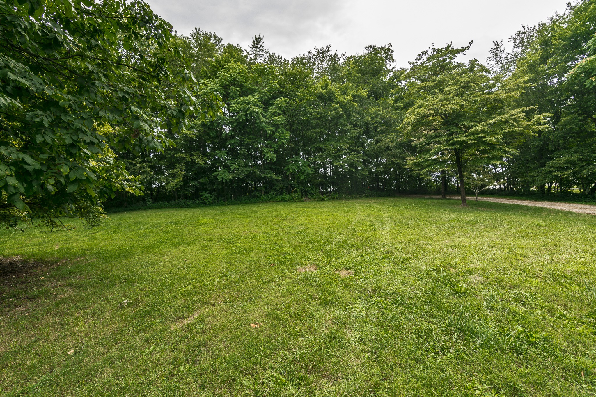 2545 Gunn Road Springfield, TN 37172 - Photo 8 of 49 a view of a green yard