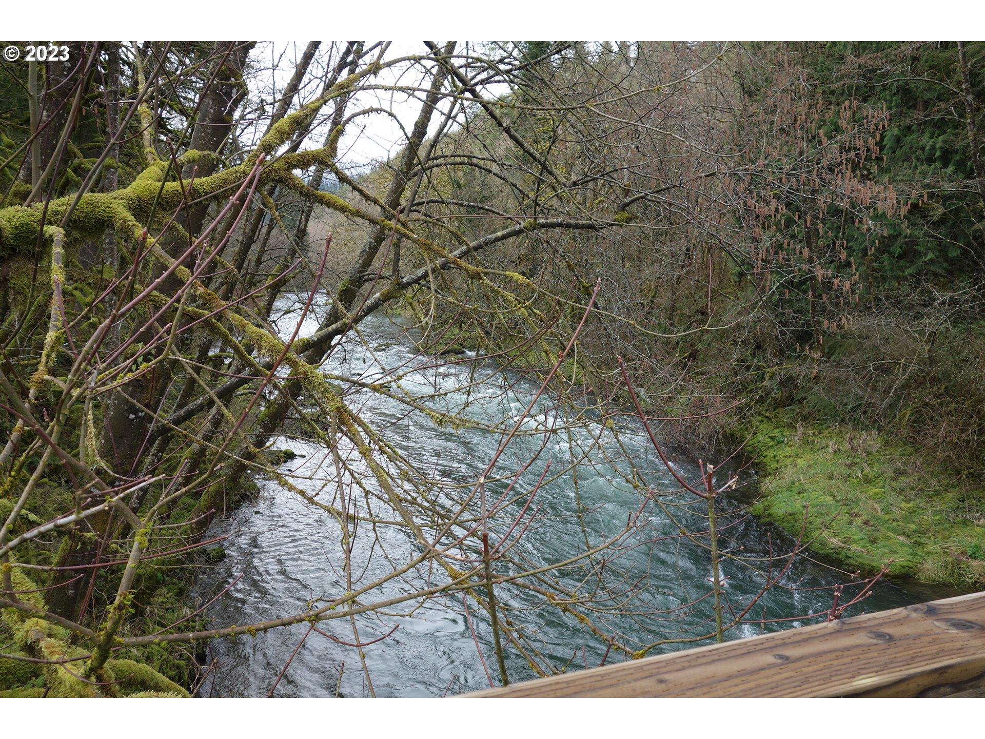 32175 Upper Nestucca River Road Beaver, OR 97108 - Photo 4 of 21 a view of outdoor space with mountain view