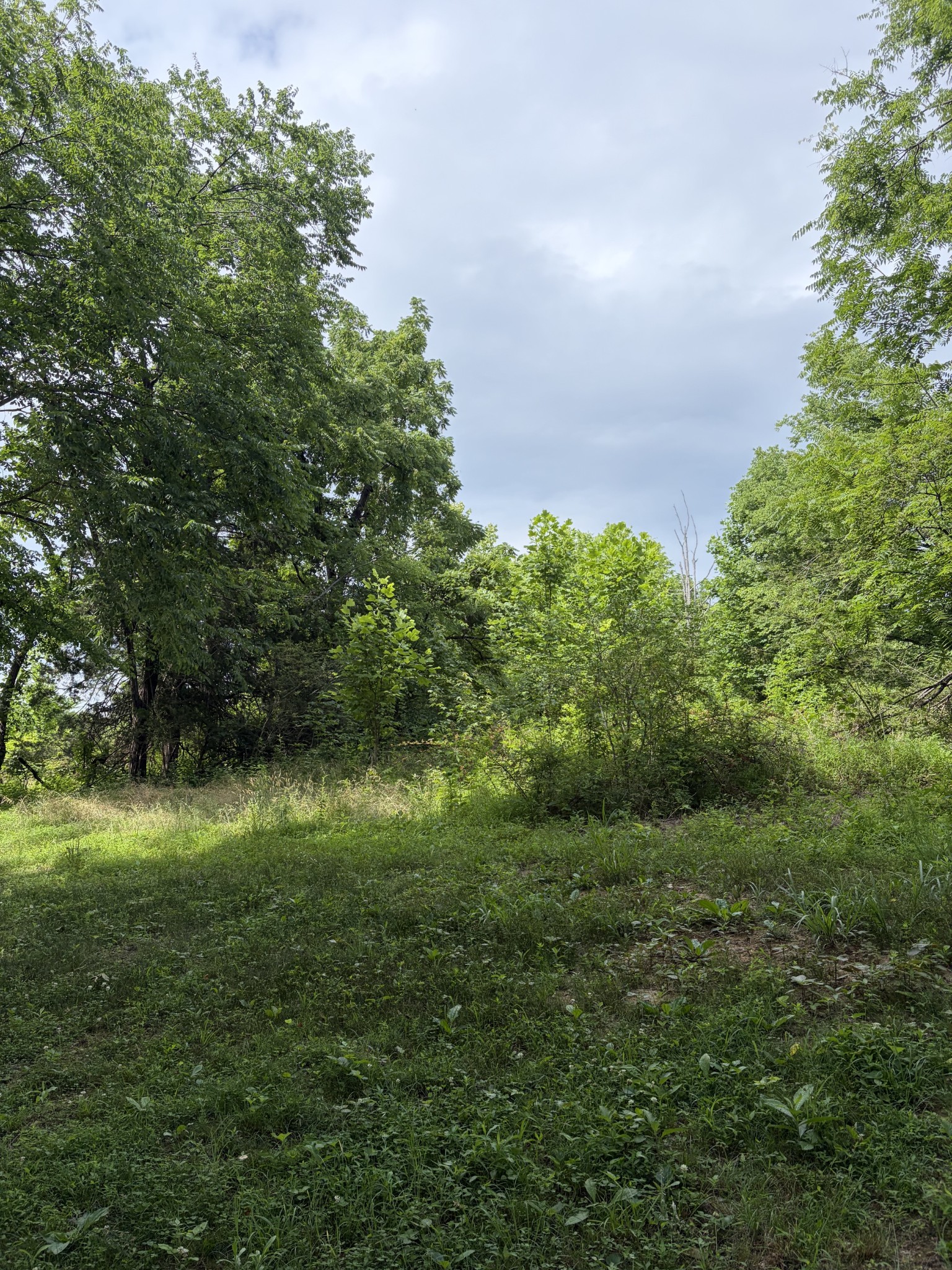 200 Robert Neal Durham Road Bethpage, TN 37022 - Photo 3 of 4