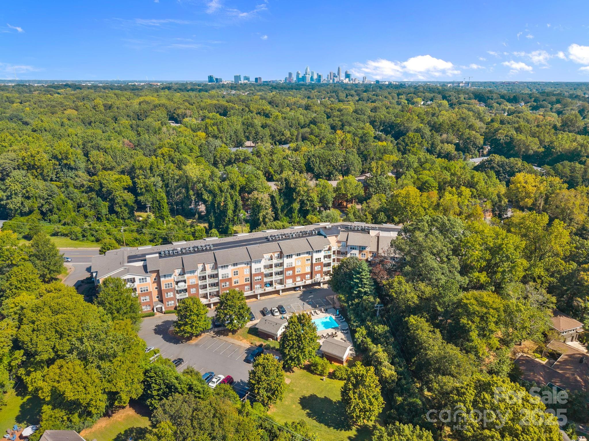 a view of a yard with plants