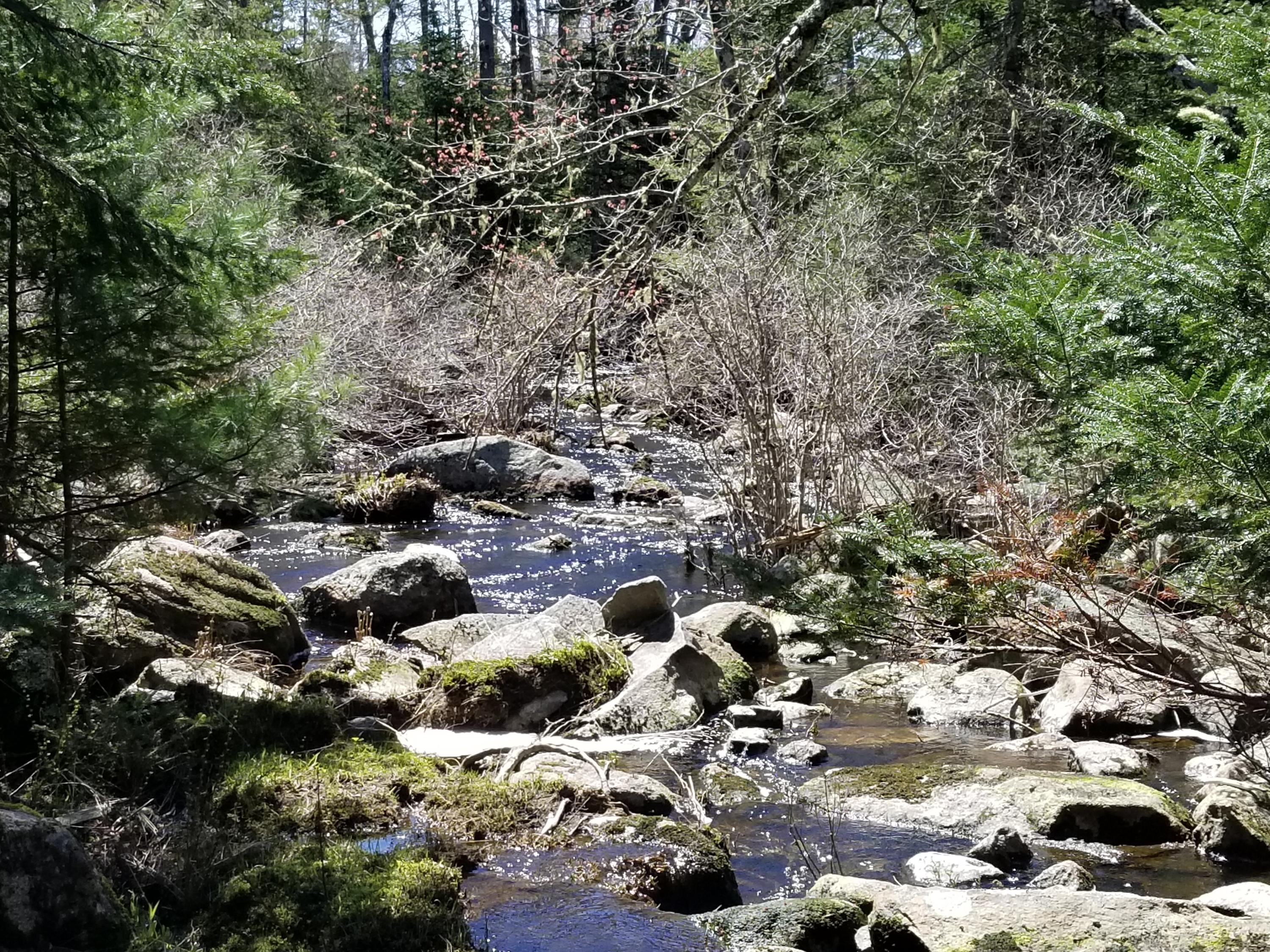 160 Southern Bay Road Penobscot, ME 04476 - Photo 9 of 62 9 Winslow Stream