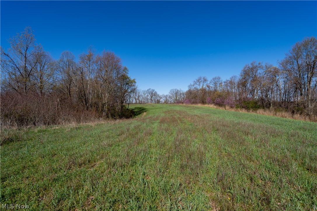 Sealover Hollow Rd Road Philo, OH 43771 - Photo 4 of 36