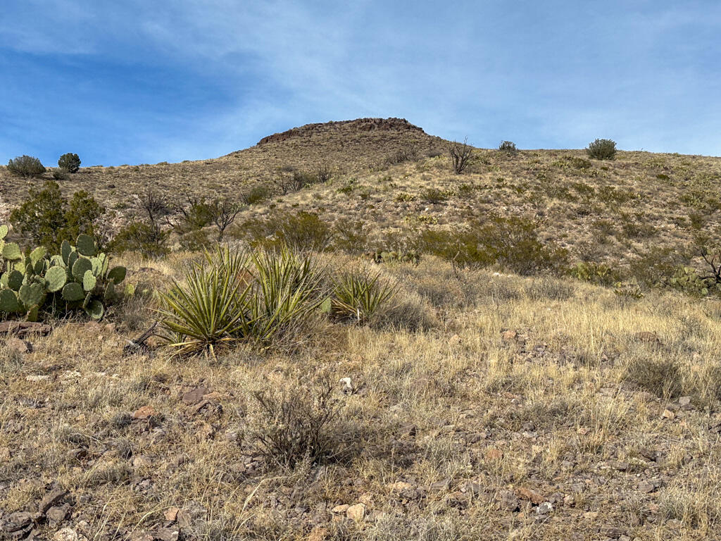Table Mountain Road Socorro, NM 87801 - Photo 48 of 60 Gallery Image 48