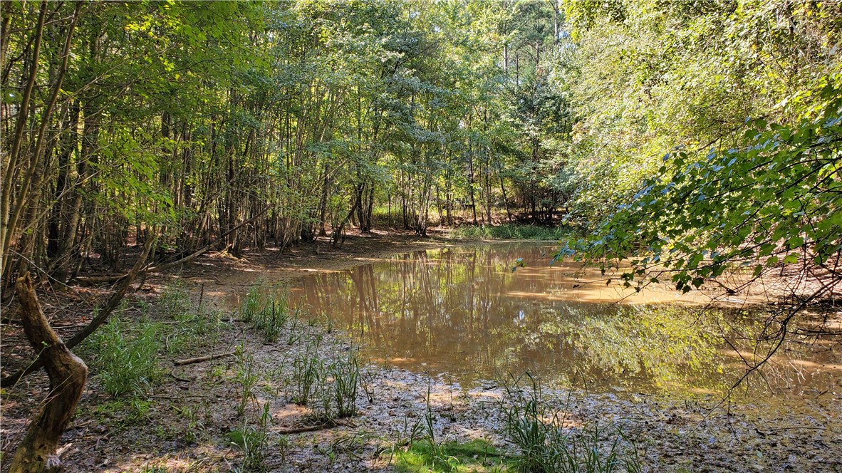 0 Mt Willing Road Batesburg, SC 29006 - Photo 15 of 18
