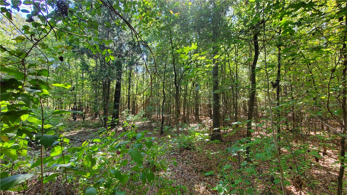 0 Mt Willing Road Batesburg, SC 29006 - Photo 16 of 18