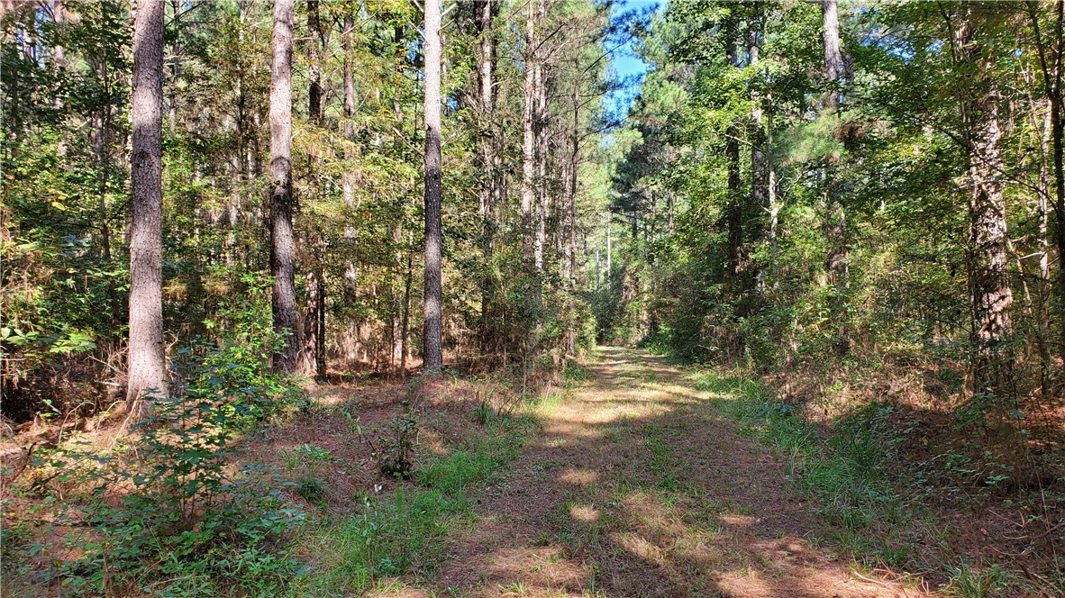 0 Mt Willing Road Batesburg, SC 29006 - Photo 3 of 18