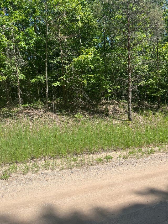 Parcel B North Parcel B N 45th Road Manton, MI 49663 - Photo 8 of 8