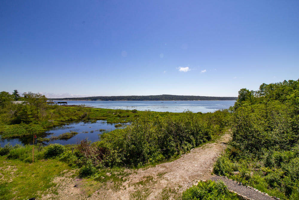 1190 Pigeon Hill Road Steuben, ME 04680 - Photo 10 of 47 IMG_2908