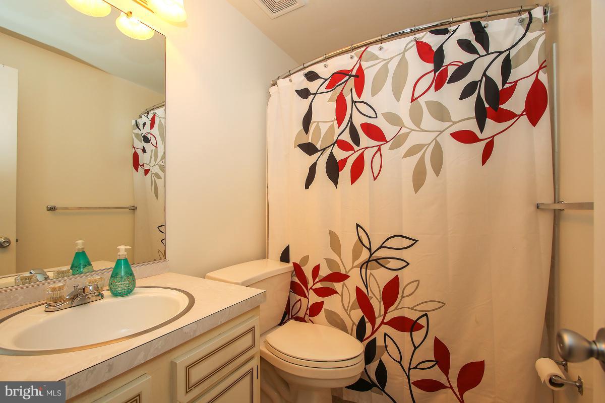 12017 Dove Circle Laurel, MD 20708 - Photo 20 of 25 Bath (Master)