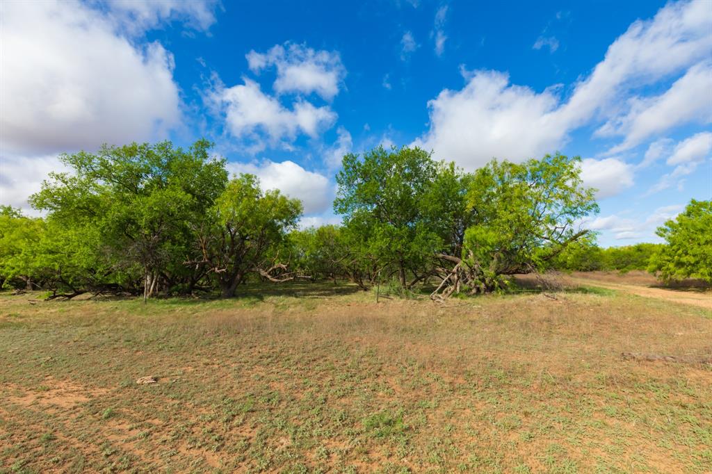 600 Fm 600 Haskell, TX 79521 - Photo 12 of 34 a view of a yard with a house
