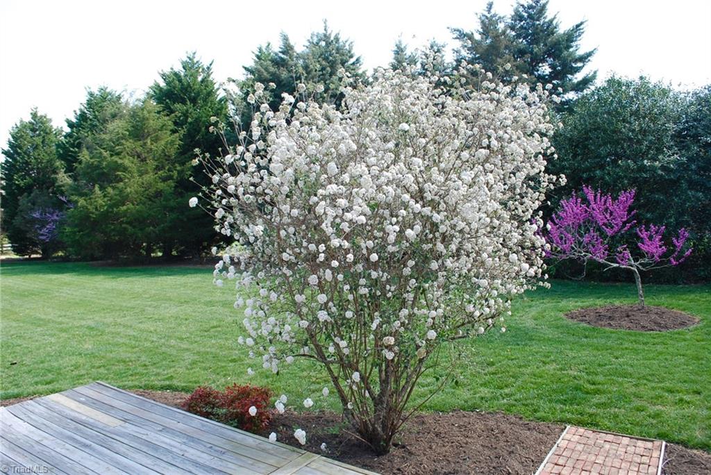 5301 Ridge Trail Road Summerfield, NC 27358 - Photo 24 of 30 Beautiful landscaping off the sunroom