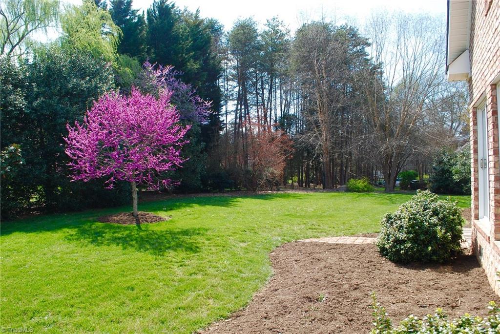 5301 Ridge Trail Road Summerfield, NC 27358 - Photo 27 of 30 View off rear deck.